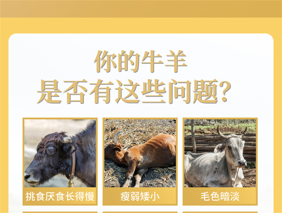 fun88������ҳ����ţ���������Ӽ�ţ��׳������Ʒ����