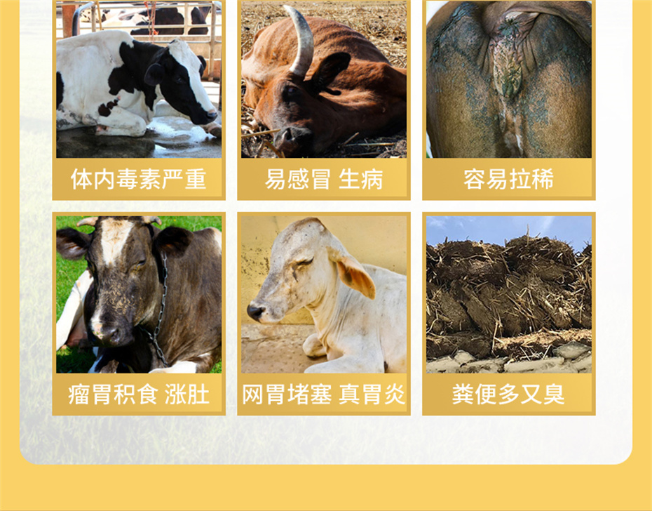 fun88������ҳ����ţ���������Ӽ�ţ��׳������Ʒ����