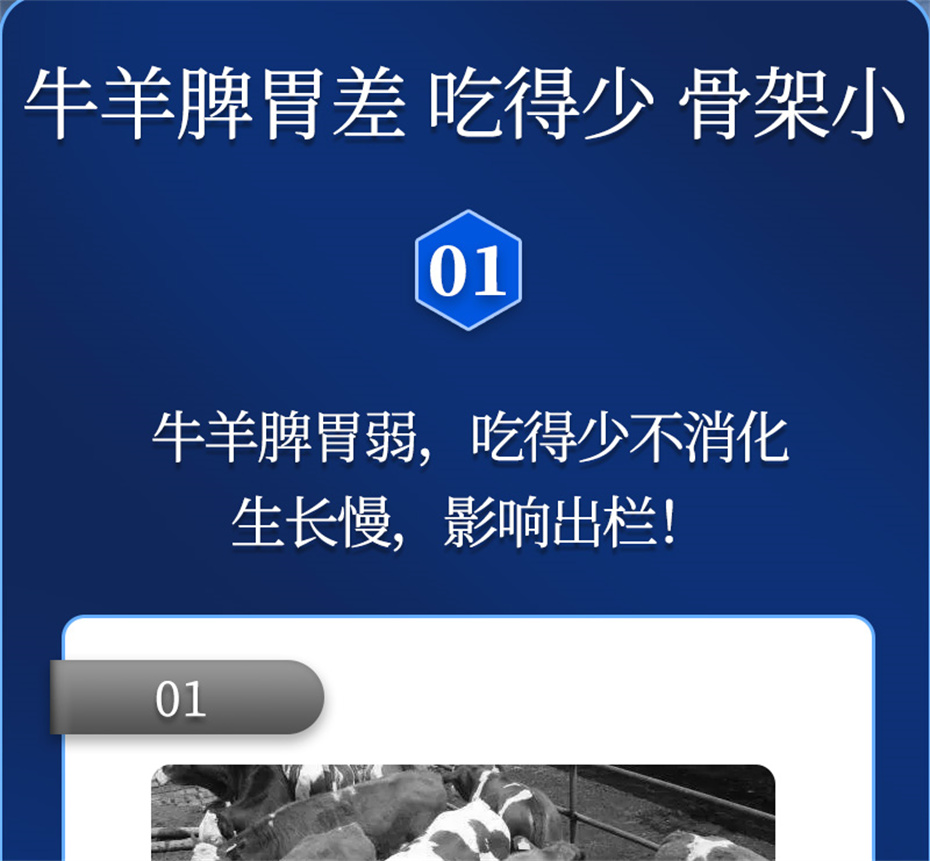 fun88������ҳ����ţ���������Ӽ�ţ��Ԫ˧��Ʒ����