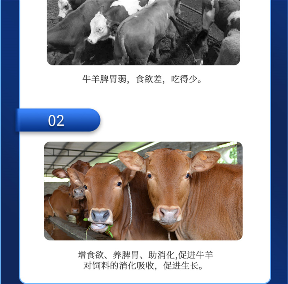 fun88������ҳ����ţ���������Ӽ�ţ��Ԫ˧��Ʒ����