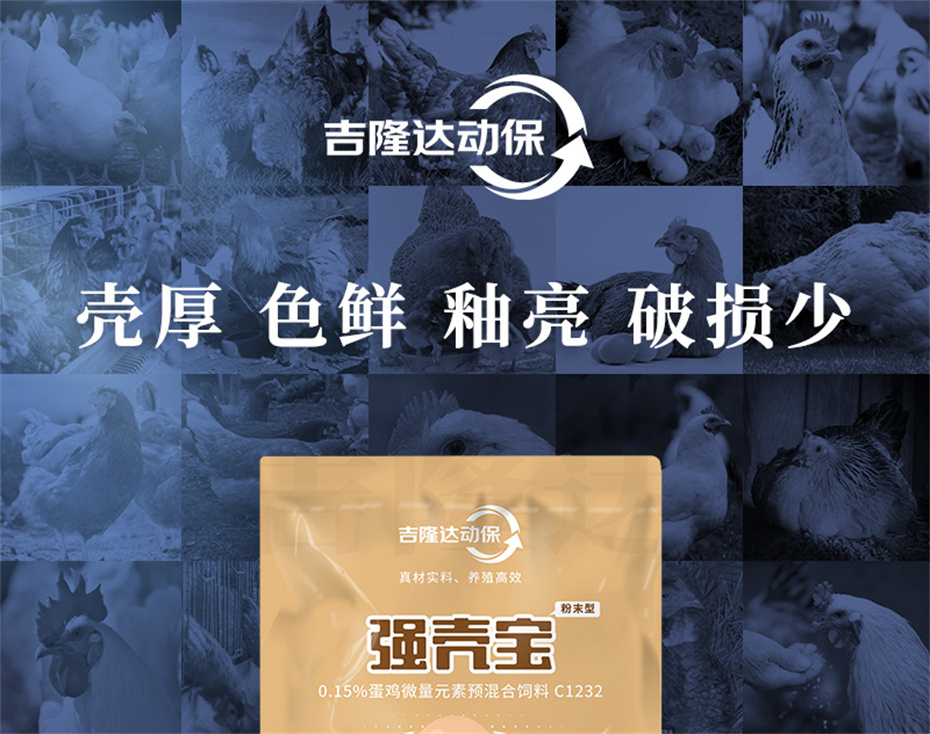 fun88������ҳ�������������Ӽ�ǿ�Ǳ���Ʒ����