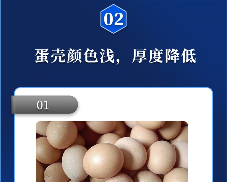 fun88������ҳ�������������Ӽ�ǿ�Ǳ���Ʒ����