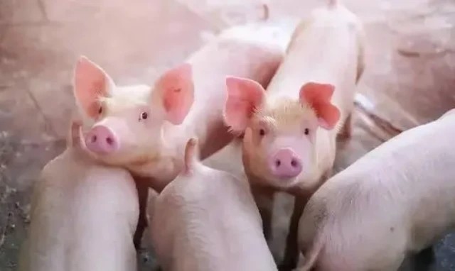 ������к