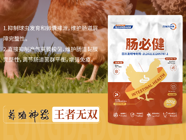 300g-1kg��Ͷ���������Ļر��������ؽ����ۺ�Ч�����