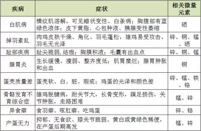 �������Ӽ�