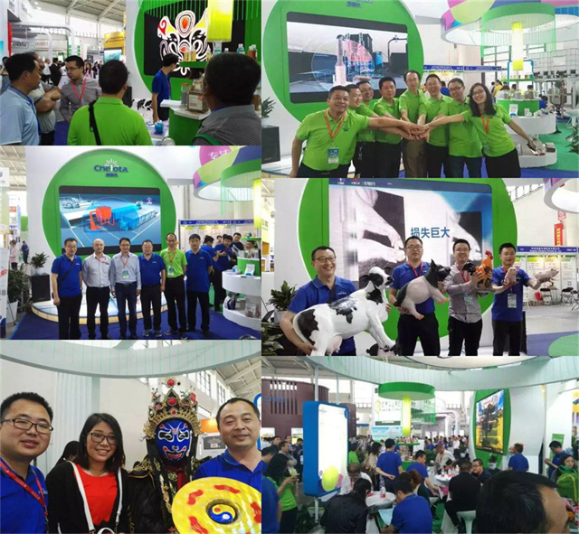fun88������ҳ��չ�й�����������