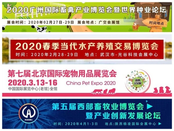 2020������ҵչ����