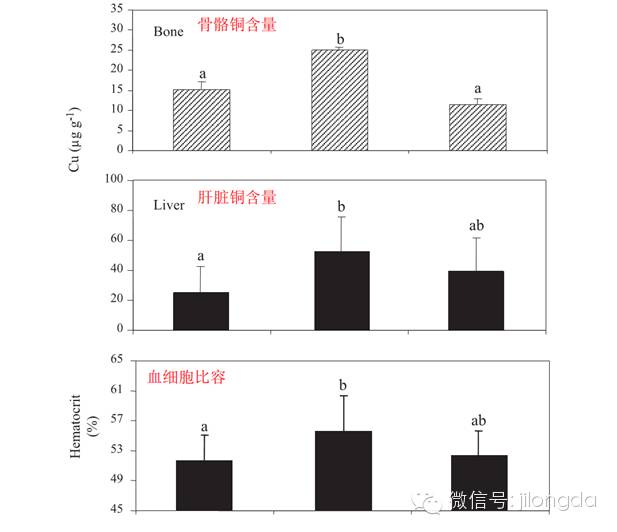 �������Ӽ�