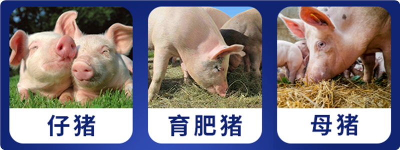 �����߷�fun88������ҳ������