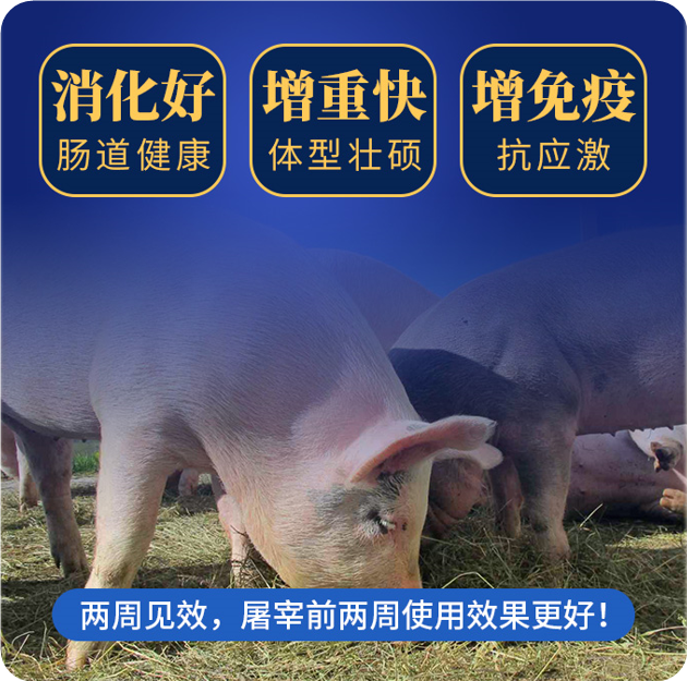 �������߷�Ч��