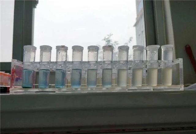 �������Ӽ�