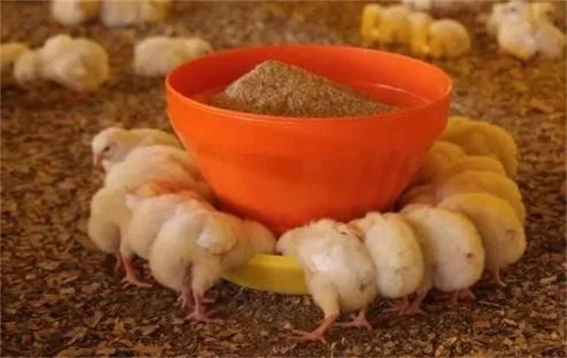 ������Ӧ��������