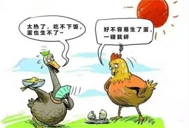 ������Ӧ��������