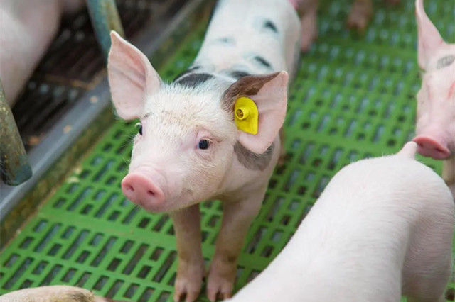 ������������