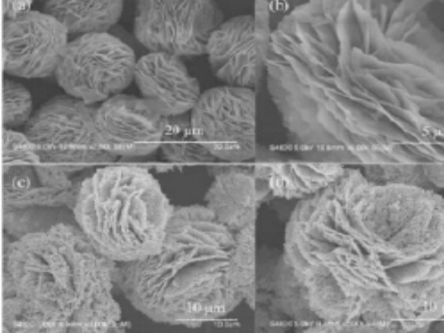 fun88������ҳ����п