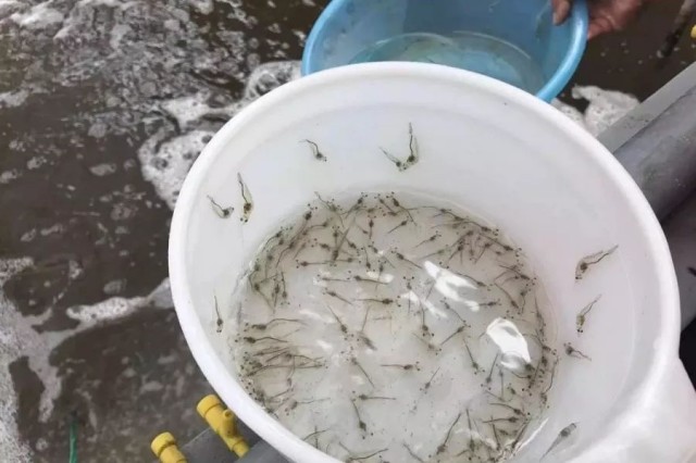 ��Ϻ����ʲ�����ô��