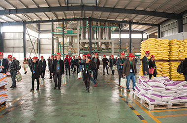 ��ʵ����