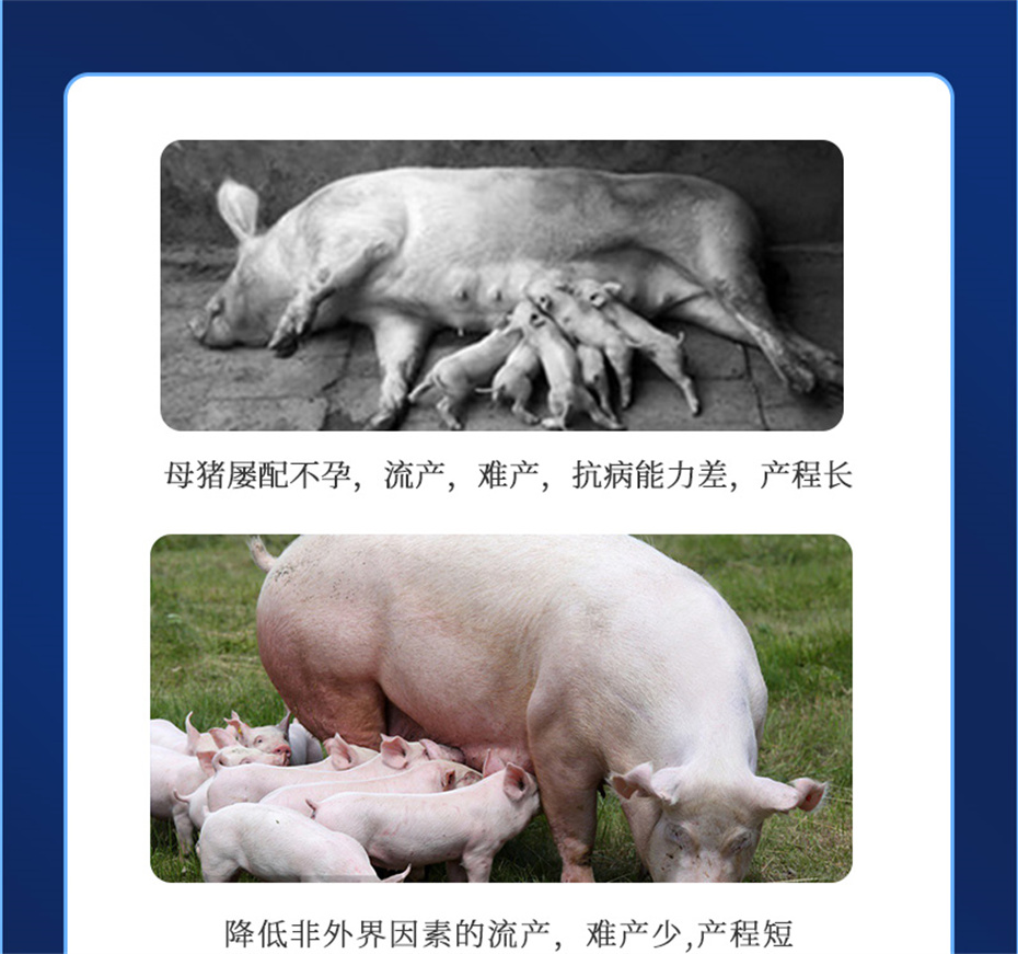 fun88������ҳ�������������Ӽ�����Ѫ��Ʒ����