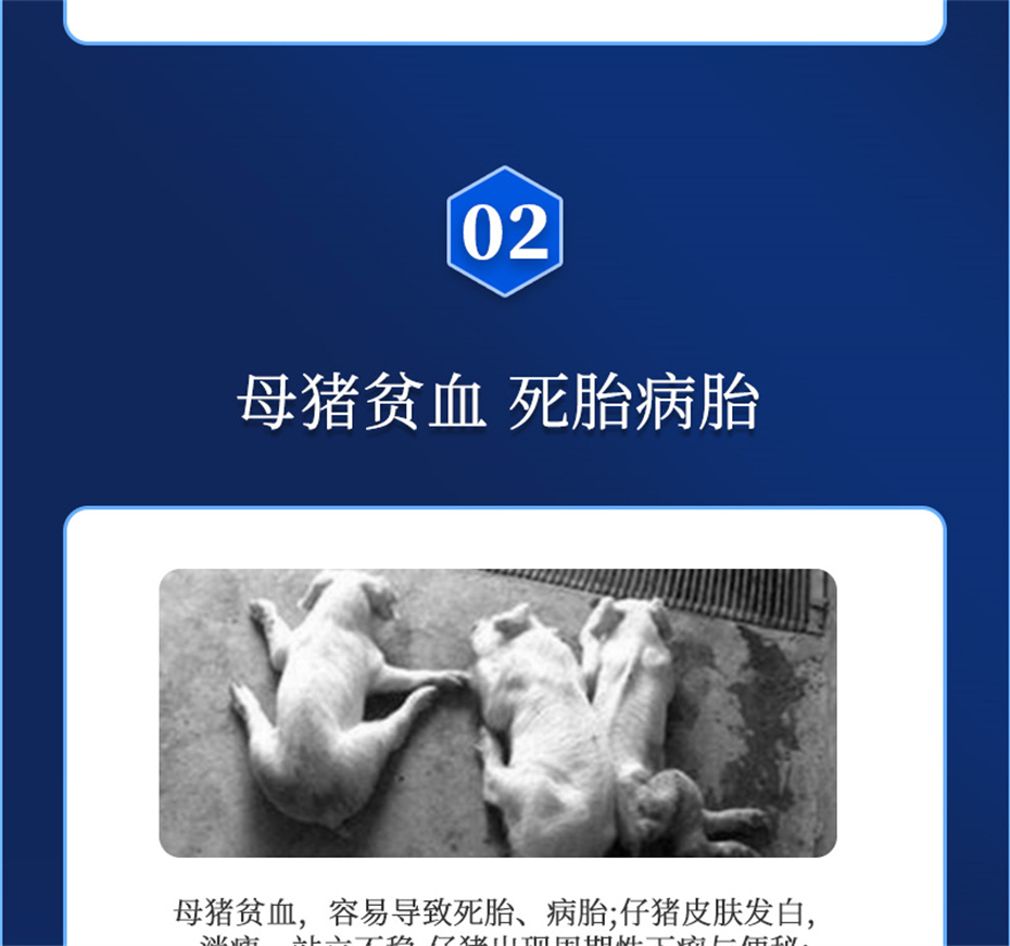 fun88������ҳ�������������Ӽ�����Ѫ��Ʒ����