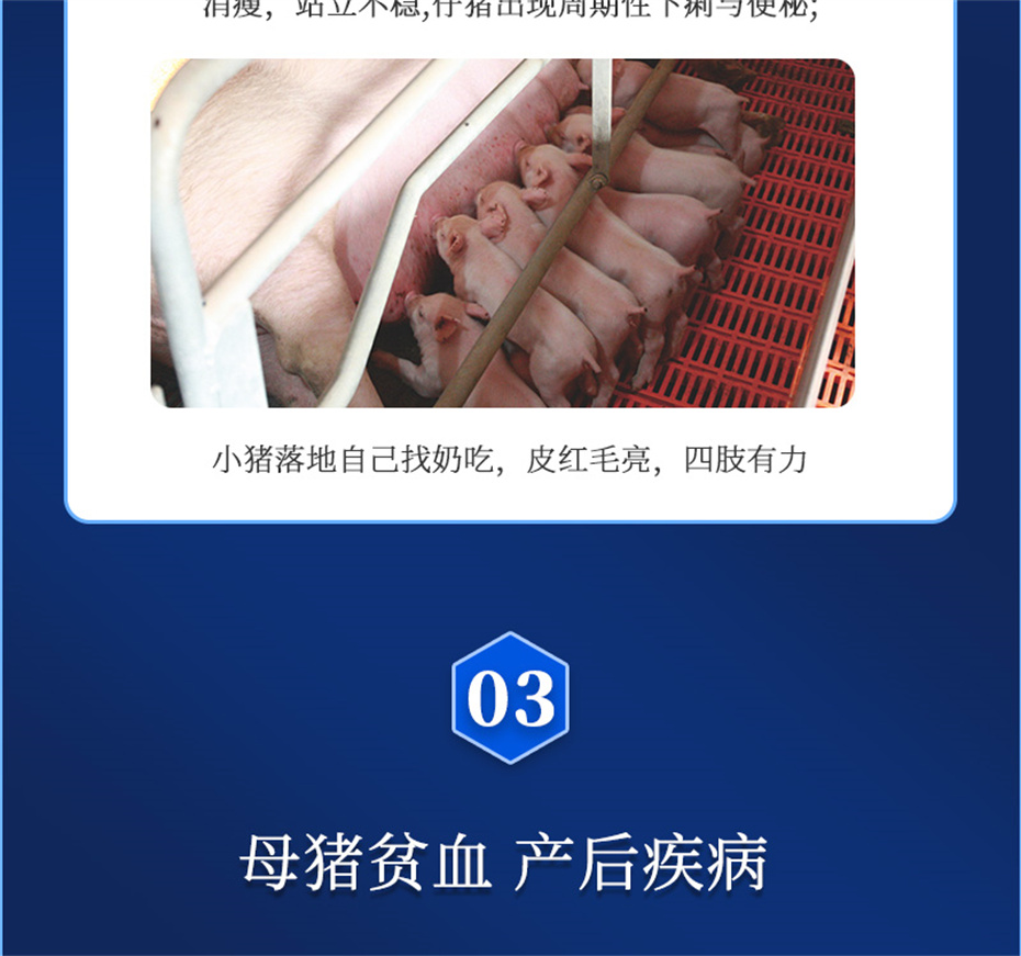 fun88������ҳ�������������Ӽ�����Ѫ��Ʒ����