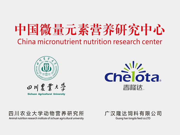 fun88������ҳ