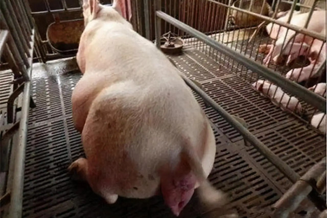 ĸ�����̹���������