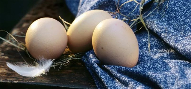 �������Ӽ�