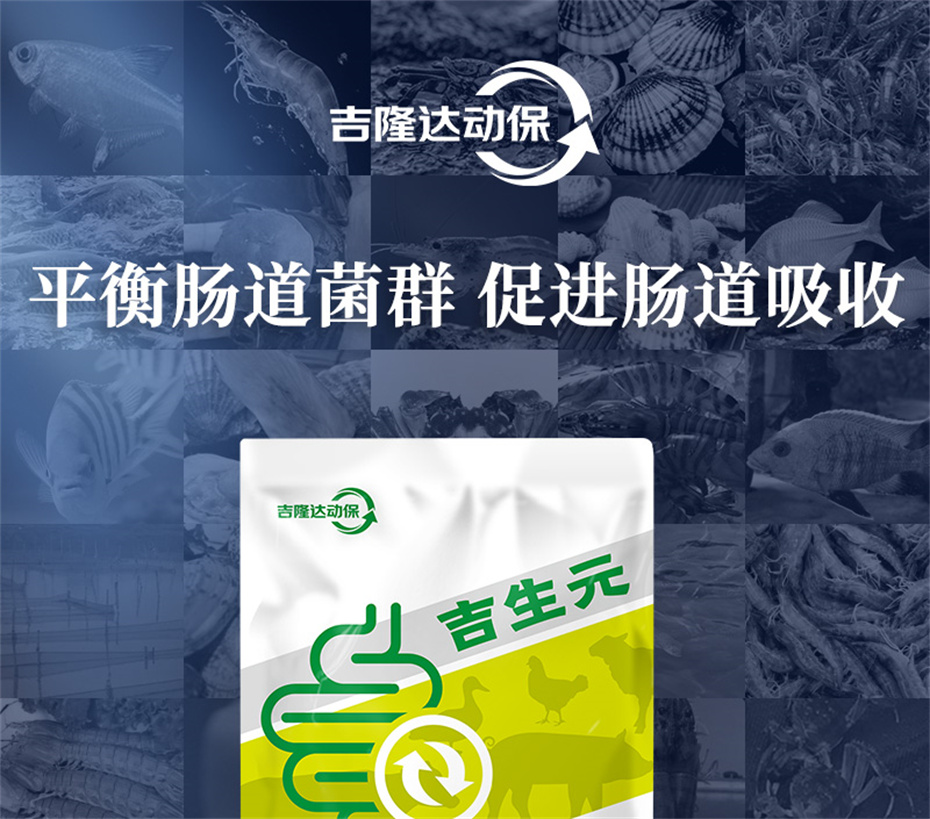 fun88������ҳ�����������Ӽ�����Ԫ��Ʒ����