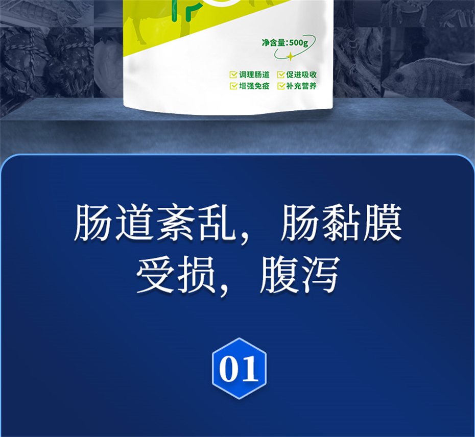 fun88������ҳ�����������Ӽ�����Ԫ��Ʒ����