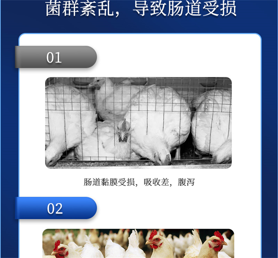 fun88������ҳ�����������Ӽ�����Ԫ��Ʒ����