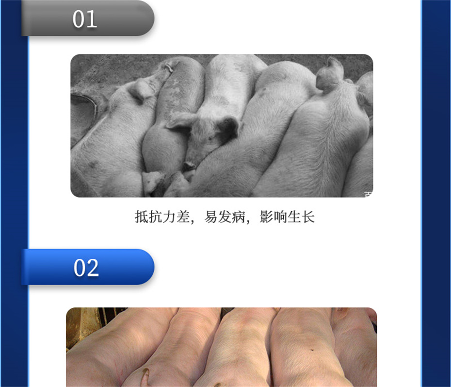 fun88������ҳ�����������Ӽ�����Ԫ��Ʒ����