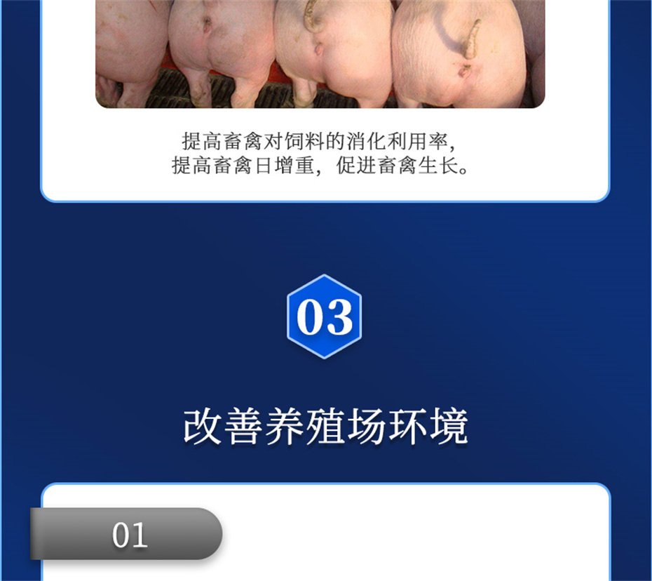 fun88������ҳ�����������Ӽ�����Ԫ��Ʒ����