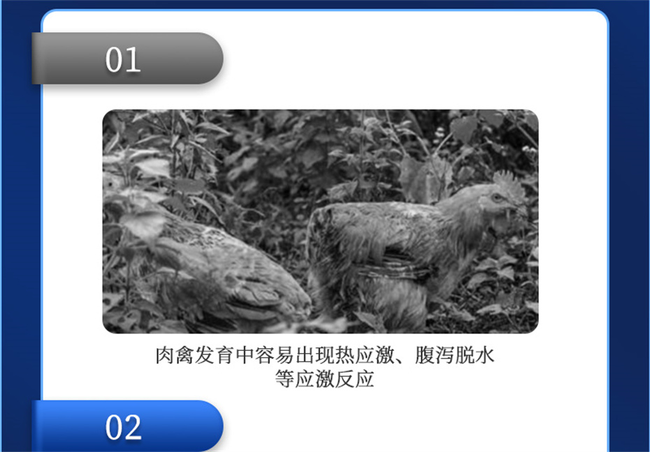 fun88������ҳ�������������Ӽ������ز�Ʒ����