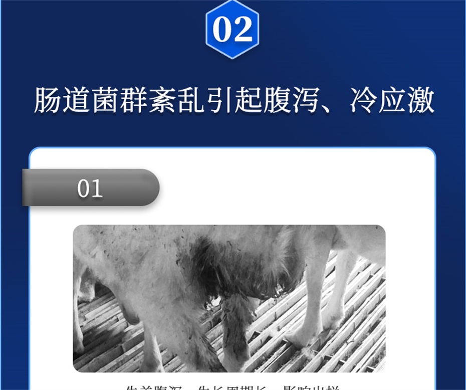 fun88������ҳ����ţ���������Ӽ�θ��plus��Ʒ����