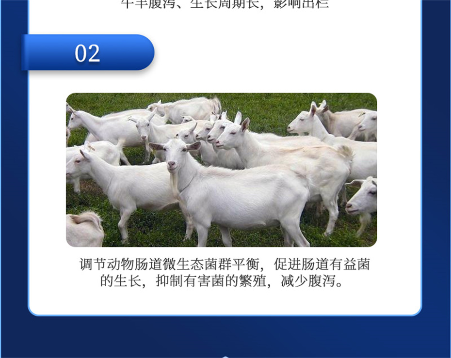 fun88������ҳ����ţ���������Ӽ�θ��plus��Ʒ����