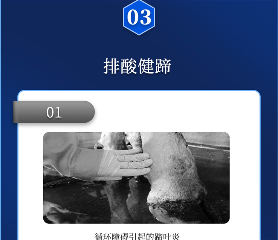 fun88������ҳ����ţ���������Ӽ�θ��plus��Ʒ����