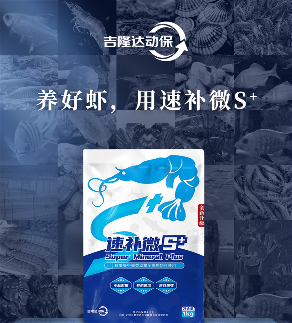 fun88������ҳ����ˮ���������Ӽ��ٲ�΢s+��Ʒ����