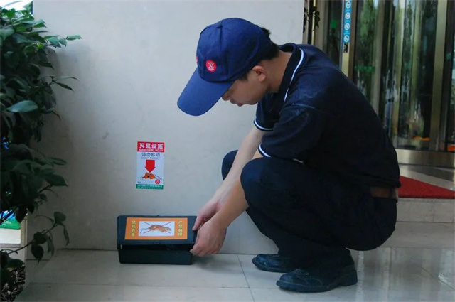 ��������Ҫ��