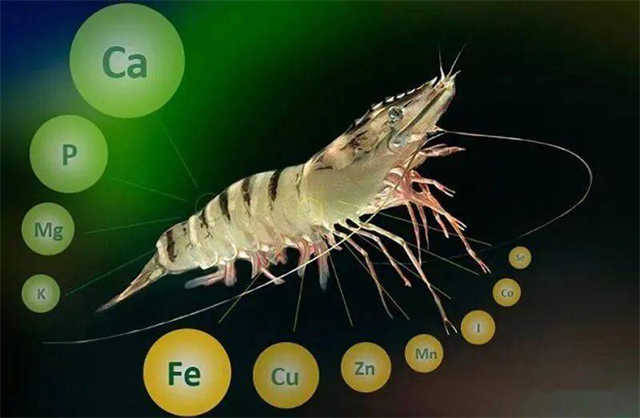 ��Ϻʲôʱ�򲹸�