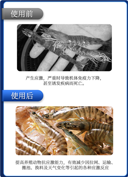 ����1��Ч��