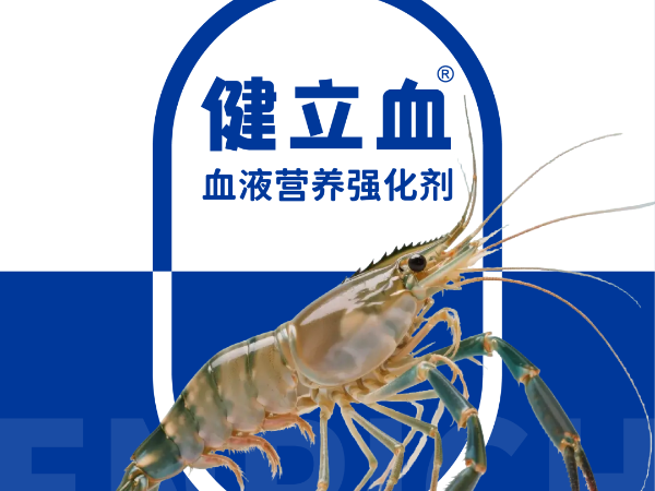 ��ϺҪ��Ѫ��͵��Ӧ�����߲���ԭ������Ϊ����