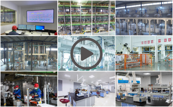 fun88������ҳ����������Ƭ