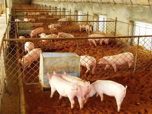 ����Ӧ�������ح��������ǿ��Ӫ����ʩ