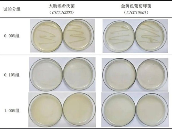 ƽ�廮�߷�̽������п�����׼����Զ������п�������־�Ч��