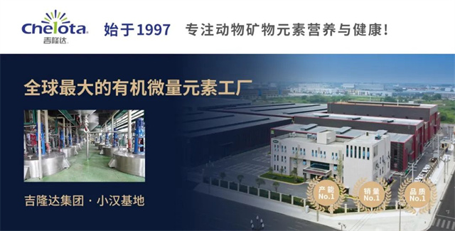 �л�΢������fun88������ҳ