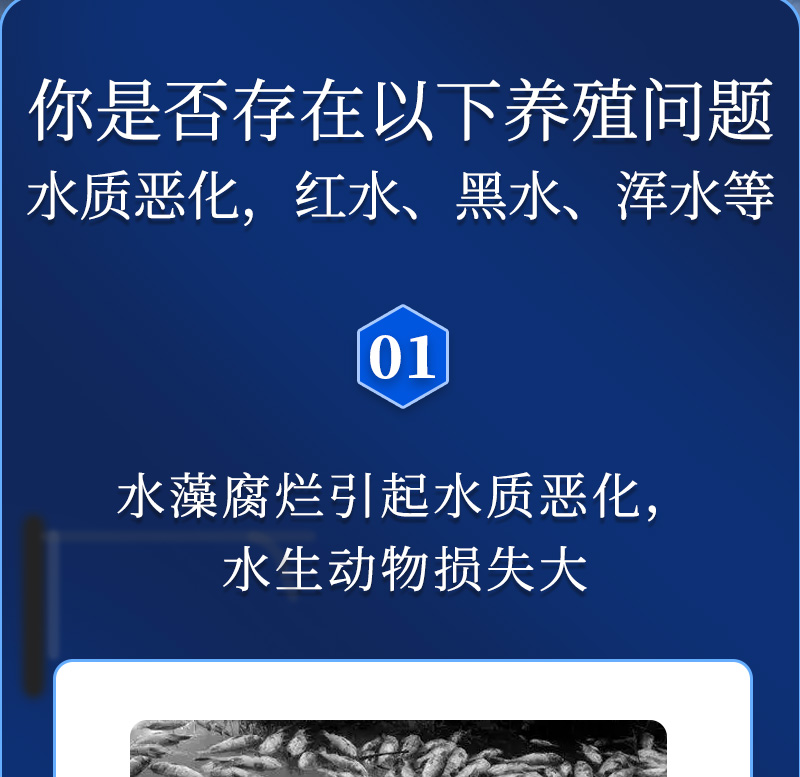 ���360����_02