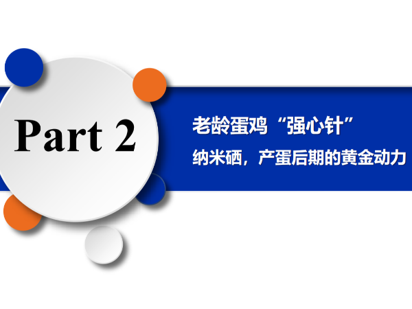 ���䵰����ǿ���롱����Ħ�������������ڵĻƽ���